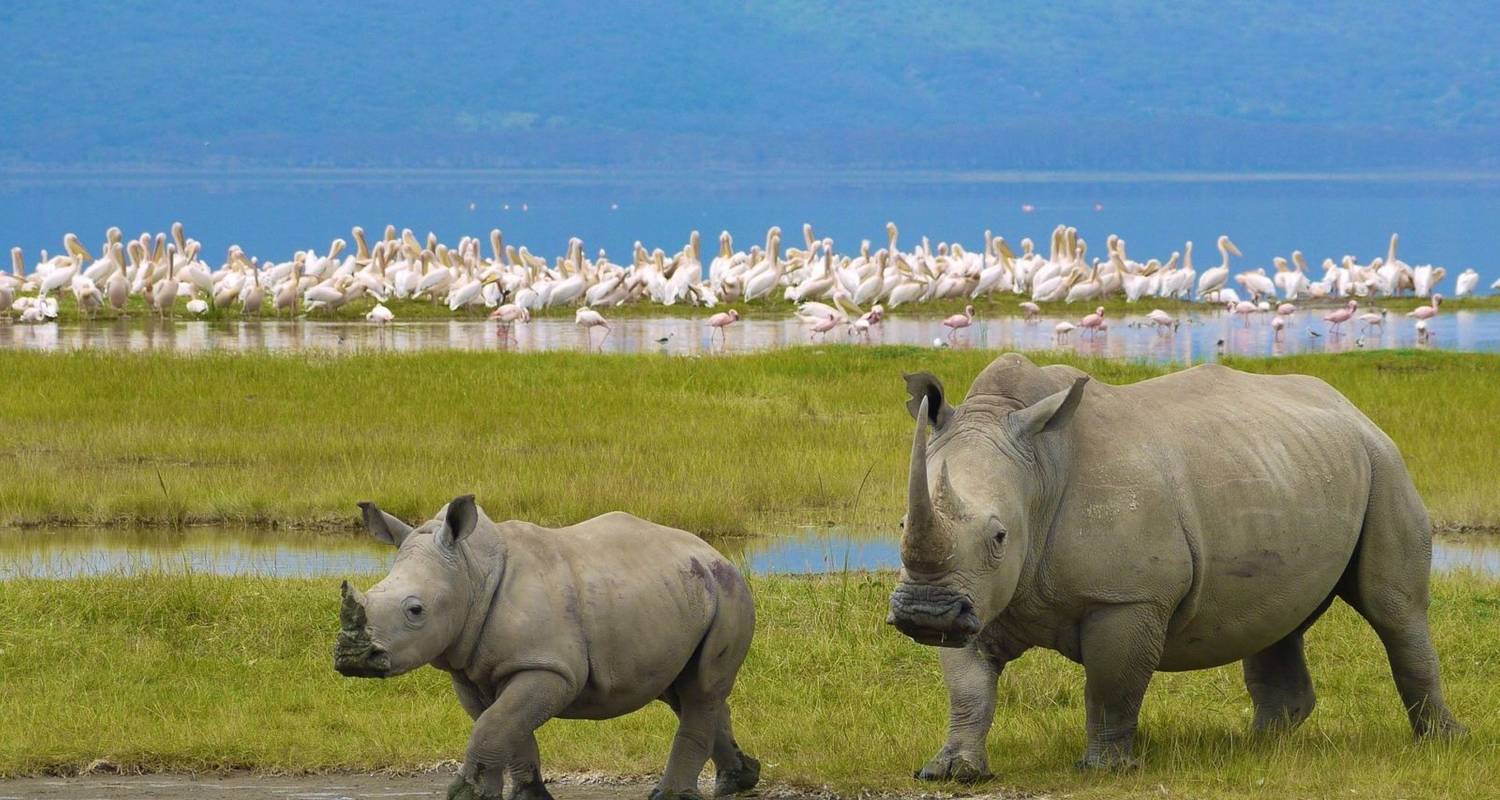 Kenya Luxury safari Holiday