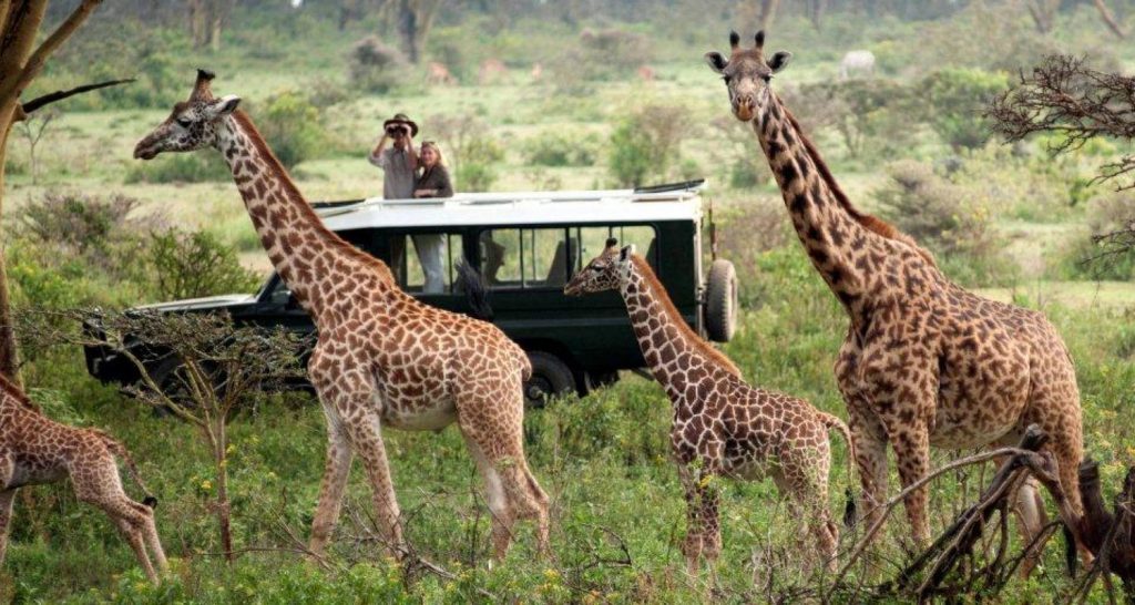 7 Days Kenya Safari Tours from Nairobi