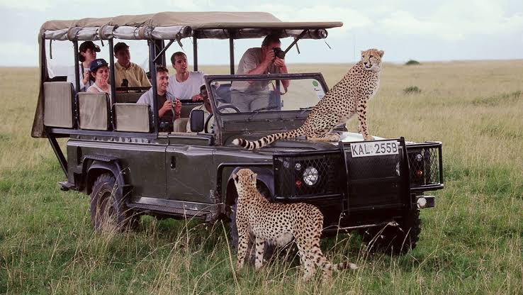 4 Days Best Safari in Kenya Luxury