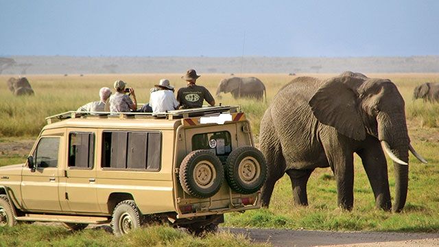 6-Day Ngorongoro Serengeti & Lake Natron