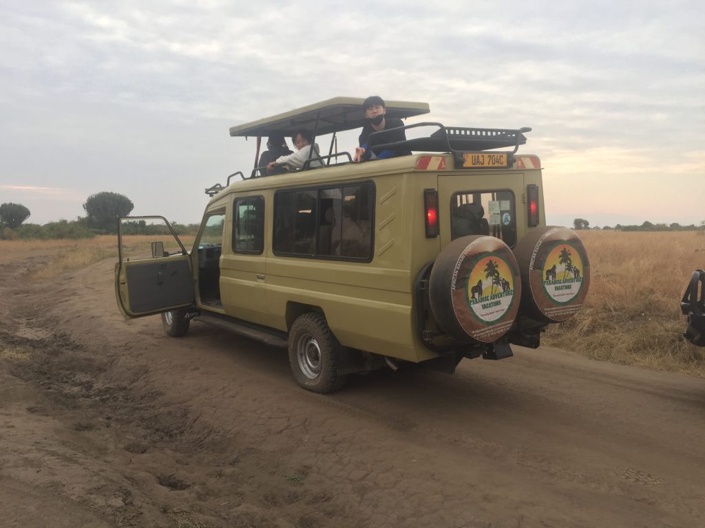 4-Day Luxury Safari Tanzania
