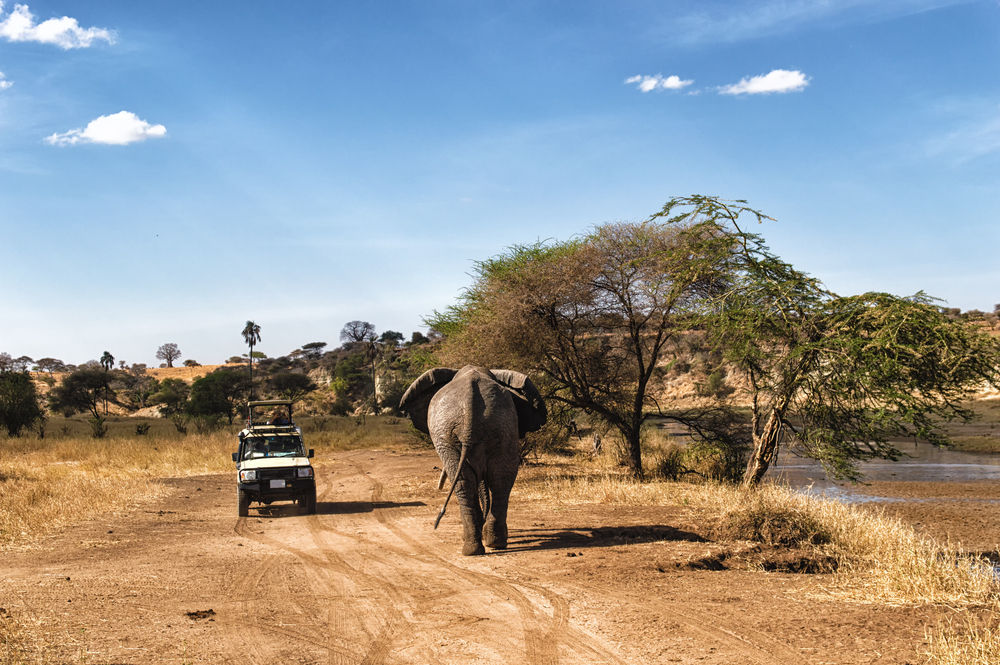  6 Days Best Kenya Safari Holiday