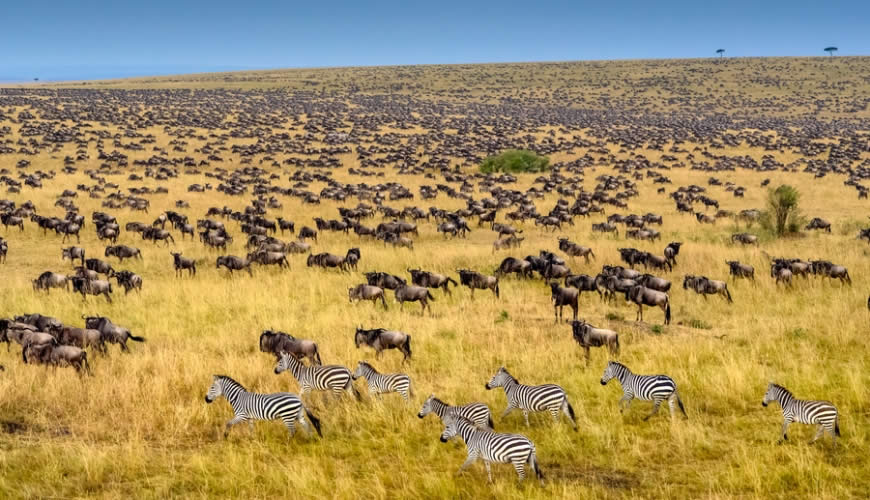9 Days Safari to Kenya Masai