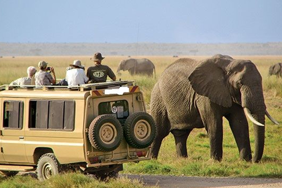 6-day-ngorongoro-serengeti-lake-natron-budget-safari