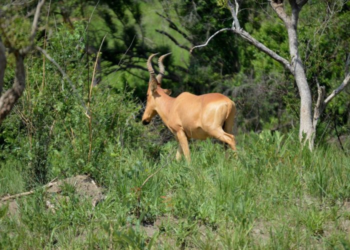 east-madi-wildlife-reserve