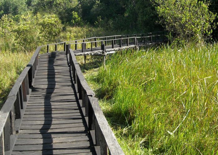 saiwa-swamp-national-park